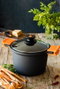 Bra Olla Efficient A273903 de 4,1L y 20cm